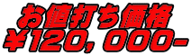お値打ち価格 ￥１20，０００-