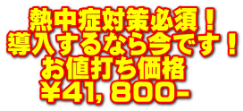   熱中症対策必須！ 導入するなら今です！    お値打ち価格    \４１，８００-