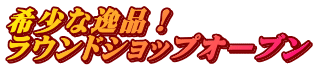 希少な逸品！ ラウンドショップオーブン